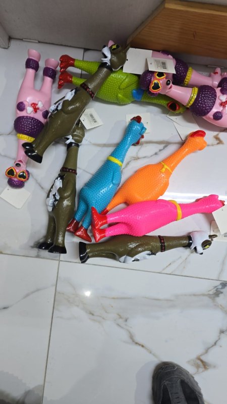 لعبة الدجاجة الصارخة